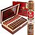 5 Vegas High Primings Robusto (5.0"x50) Single