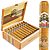 Ashton Cabinet Vintage Selection No. 7 (Toro) (6.2"x52) Pack of 5