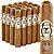 Casa de Garcia (Churchill) (6.5"x50) Pack of 20