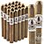 Hesitant Pirate Churchill (7.0"x50) Pack of 5