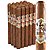 Ave Maria Barbarossa (Churchill) (7.0"x48) Pack of 20