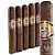 601 Blue Box-Pressed Maduro Robusto (5.2"x52) Pack of 5