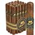 Frank's Way 105 Sumatra Churchill (7.0"x50) Pack of 20