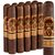 Oliva Serie 'V' Maduro Double Robusto (5.0"x54) Pack of 10