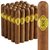 1876 Reserve Robusto (5.0"x50) Pack of 25