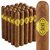 1876 Reserve Toro (6.0"x50) Pack of 25