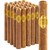 1876 Reserve Churchill (7.2"x50) Pack of 25