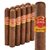 Punch Gran Puro Rancho (Robusto) (5.5"x54) Pack of 10