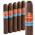 Punch Gran Puro Nicaragua (Robusto) (4.9"x48) Pack of 5