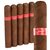 Tatuaje Havana VI Nobles (Robusto) (5.0"x50) Pack of 5