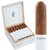 Obsidian White Noise Torpedo (6.0"x60) Box of 20