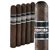 Cohiba Black Robusto (5.5"x50) Pack of 5
