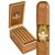 5 Vegas Gold Churchill (7.0"x50) Box of 20