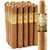 5 Vegas Gold (Toro) (6.0"x50) Pack of 20