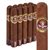 5 Vegas Cask-Strength Firkin (Gordo) (6.0"x60) Pack of 10
