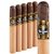 5 Vegas Series 'A' Archetype (Toro) (6.0"x50) Pack of 5