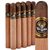 5 Vegas Series A Apocalypse (Gordo) (6.0"x58) Pack of 10