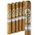 Gurkha Symphony (Toro) (6.0"x50) Pack of 5