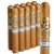 Gurkha Symphony Toro (6.0"x50) Pack of 10