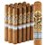 Gurkha Symphony (Toro) (6.0"x50) Pack of 15