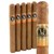 Victor Sinclair Primeros Churchill (7.0"x50) Pack of 5