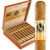 Victor Sinclair Primeros Churchill (7.0"x50) Box of 20