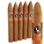 Victor Sinclair Primeros Torpedo (6.5"x54) Pack of 5