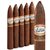 Astral Talanga Valley Series Pyramid (6.0"x52) Pack of 5