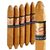 ACID Ltd. Series Kindred Spirit Connecticut Perfecto (6.0"x54) Pack of 5