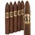 ACID Opulence 3 Torpedo (6.0"x54) Pack of 5