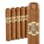 AVO XO Intermezzo (Robusto) (5.0"x50) Pack of 5