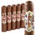 Ave Maria Ark of the Convenant (Gordo) (4.5"x60) Pack of 5