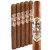 Ave Maria Barbarossa (Churchill) (7.0"x48) Pack of 5