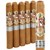 Ave Maria Immaculata Toro (6.0"x50) Pack of 5