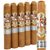 Ave Maria Immaculata Gordo (6.0"x60) Pack of 5
