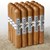 Arganese Connecticut Robusto (5.0"x50) Pack of 20