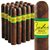 Bahia Brazil Gordo (6.0"x60) Pack of 20
