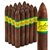Bahia Brazil Torpedo (6.2"x54) Pack of 20