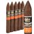 Aging Room Quattro Nicaragua Maestro (Torpedo) (6.0"x52) Pack of 5