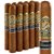 Gurkha Beauty Beauty (Gordo) (6.5"x58) Pack of 10