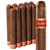 Cain Habano 'F' Robusto (5.7"x50) Pack of 10