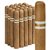 C'est la Vie Toro Sweet (6.0"x50) Pack of 20