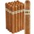 C'est la Vie Churchill Sweet (7.0"x50) Pack of 20