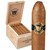 Guardian of the Farm Campeon (Torpedo) (6.0"x52) Pack of 5