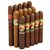 Taste of Havana Intro Sampler 15 Cigars