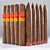 Punch Gran Puro and Diesel Unlimited Sampler 10 Cigars