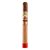 Dias de Gloria by AJ Fernandez Short Churchill (Lonsdale) (6.5"x48) Box of 20