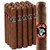 Dark Shark (Toro) (6.0"x50) Pack of 20
