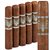 CAO Flathead Steel Horse Apehanger (Double Robusto) (5.7"x54) Pack of 5