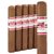 CAO Flathead Speed Shop V660 (Gordo) (6.0"x60) Pack of 5